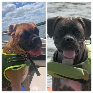 Meet your Posher, William